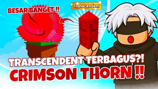 Transcendent PALING BAGUS ?! Crimson Thorn Method Grow A Garden