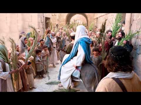 Listen to: Read the Bible in a Year, Day 309 (John 11 - 12)