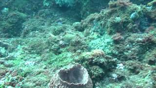 preview picture of video 'Claveria scuba diving one mile west of lagoon'