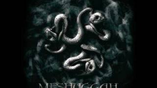 Meshuggah - Personae Non Gratae / Sum