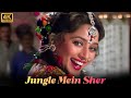 Jungle Mein Sher जंगल में शेर Prem Granth 1996 Vinod Rathod Alka Yagnik Madhuri 