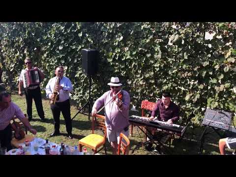 Gabriel Bunea - Ceterasii de la Gherla - Joc Nunta Gherla LIVE 100%
