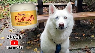 Muttluks Pawmagik Honest Dog Review