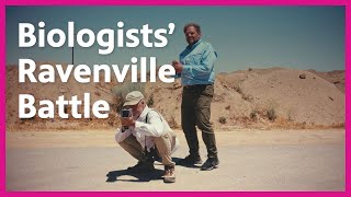 Ravenville: Why Birds Flock to Desert Human Wastelands | Earth Focus | PBS SoCal