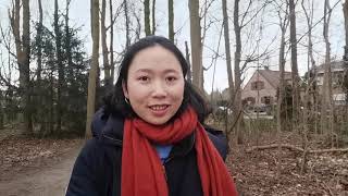 一起去公园散步|减压|疫情下的欧洲大农村Lokeren