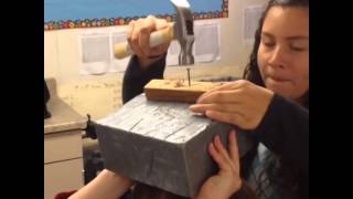 Newton&#39;s 1st Law Hammer/Nail Activity