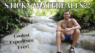 Sticky Waterfalls (Bua Thong) + Sunday Night Market | Chiang Mai, Thailand