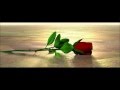 Desierto sin amor - Cae 