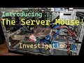 A Mouse Was Living In My Server Let S Investigate It