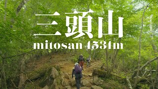 夏の奥多摩の三頭山に登ってきた(周回コース)