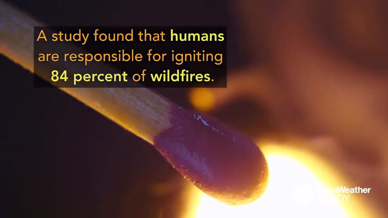 How to prevent wildfires from starting