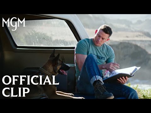 Thumbnail of the video: DOG | Briggs and Lulu - Official Clip | MGM Studios