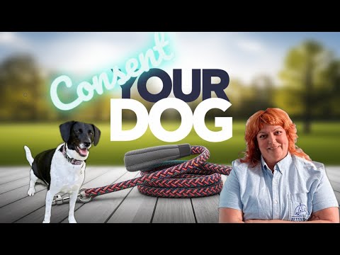 Better Dog Ottawa Gatineau video.