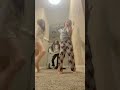 Blooper