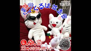 第34回くるぱ並走会