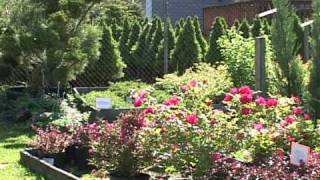 preview picture of video 'North Pocono Garden Center - Daleville, PA'