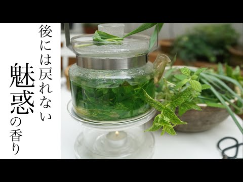 最高のティーハーブ12選 トピックス