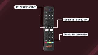 DishTV Remote Buttons Dishcriptions