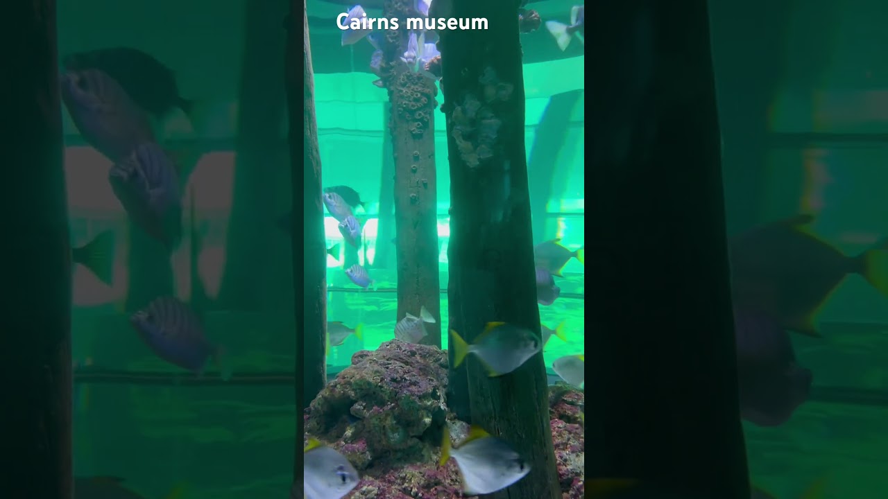 YouTube Short thumbnail