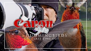 Canon R6 III and 600 F4 lens - my final time out and more final thoughts on the R6 III 📷