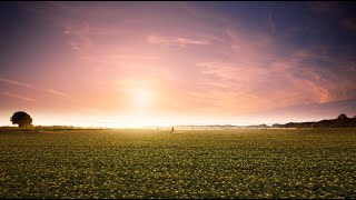 Lay's FIFA World Cup 2026 Countdown