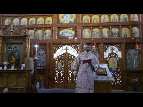 Stef Mihnea - Priceasna Biserică Locașul Sfânt