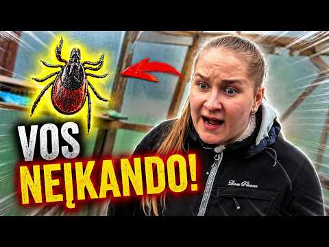 BEATAI VOS NEĮKANDO ERKĖ!!