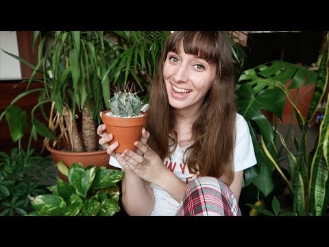 My House Plant Tour! + Hamster updates