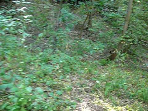 Bratesti - La pas pe deal