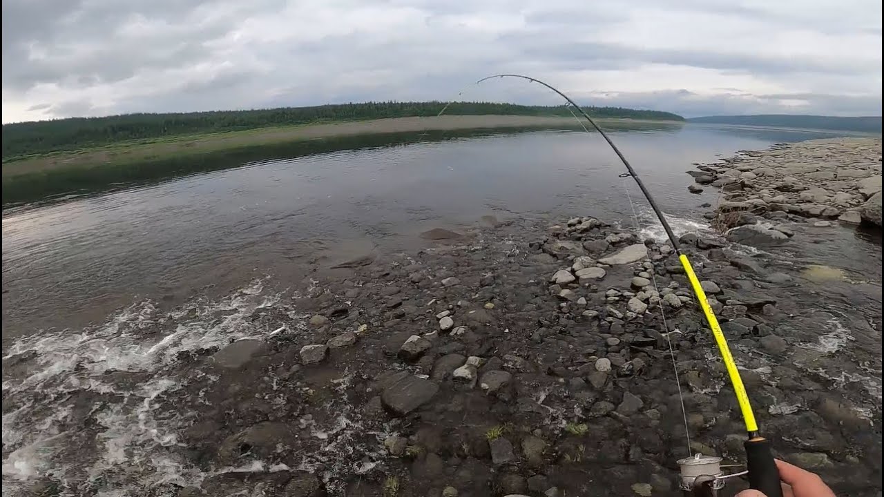 рыбалка на москва реке дзержинский