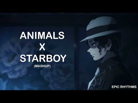 Animals X Starboy (Mashup) | Epic Rhythms