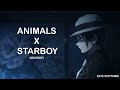 Animals X Starboy Mashup Epic Rhythms