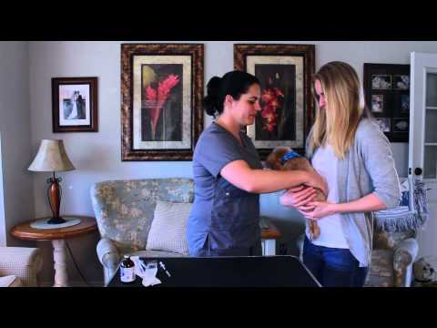 Giving a Subcutaneous Injection