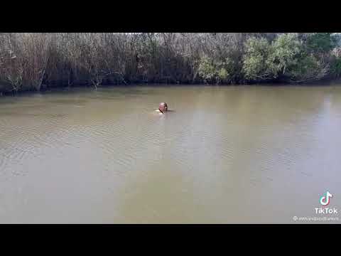 UYAYA YINI EMANZINI INYOKA IYAKHULUMA