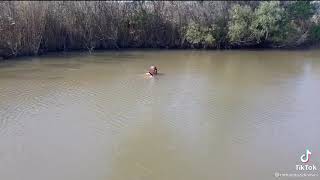 Download lagu UYAYA YINI EMANZINI INYOKA IYAKHULUMA mp3 Download lagu UYAYA YINI EMANZINI INYOKA IYAKHULUMA mp3