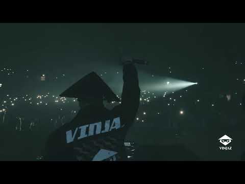 Vinjaz university    Final