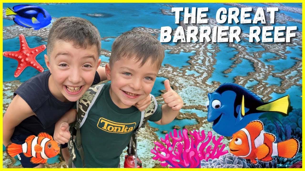 Ever Wondered If You Can Kayak the Great Barrier Reef Without Breaking the Bank? 💸🚣