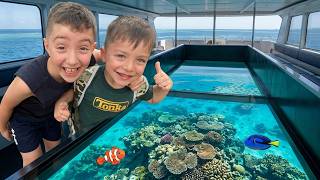 Explore the Great Barrier Reef 🪸 Coral Reef Adventure by Boat 🇦🇺  Sea Animals  Fun Learning Video