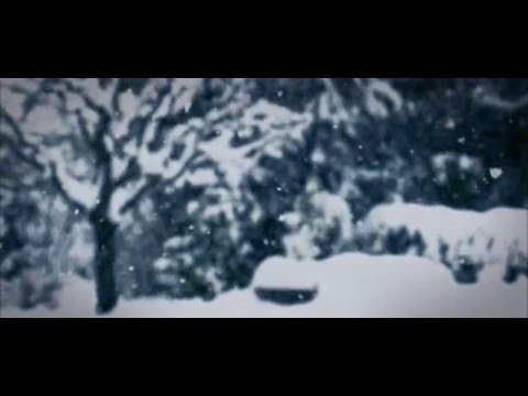 Rodrigo Leão, Coro & Orquestra Gulbenkian - Inverno Triste (Live visuals)