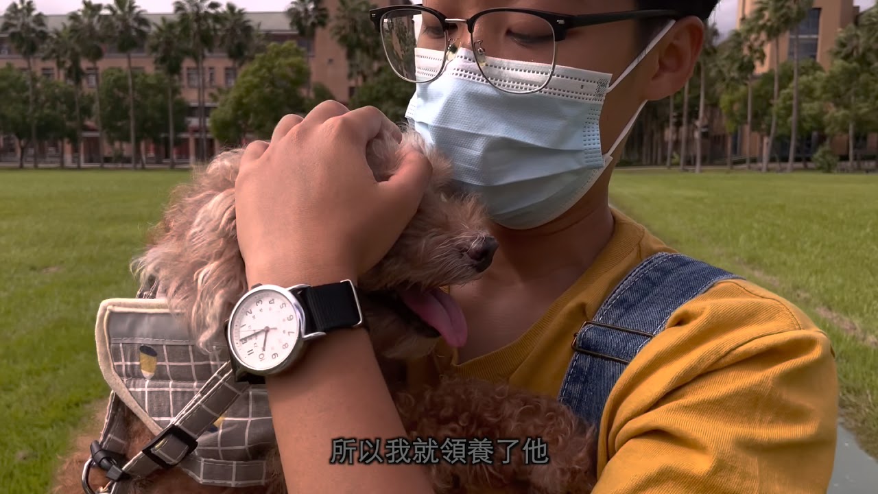 YouTube 影片