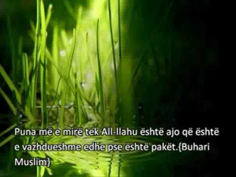 Hadithe te zgjedhura