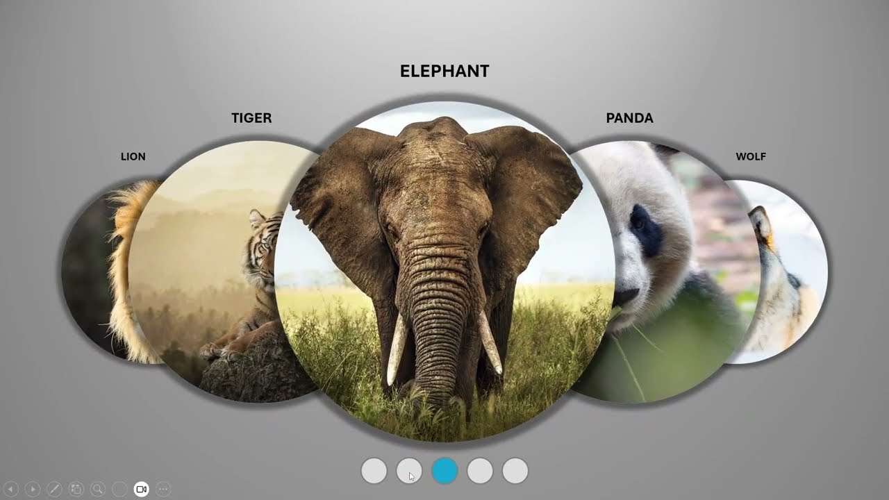 PowerPoint Presentation - Carousel Effect 1