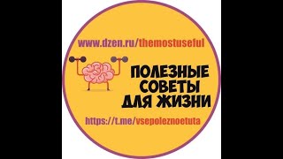 Видео полезные советы Дзен dzen ru themostuseful