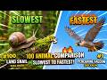 Fastest And Slowest Animals On Earth Ultimate 100 Animal Comparison
