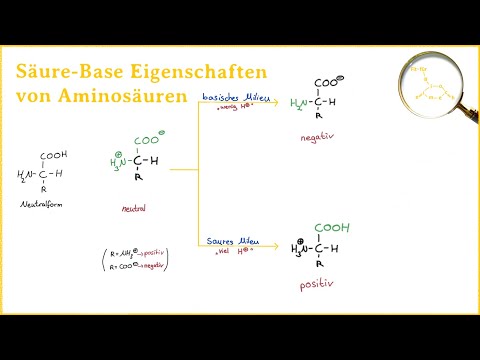 Säure Base Eigenschaften von Aminosäuren