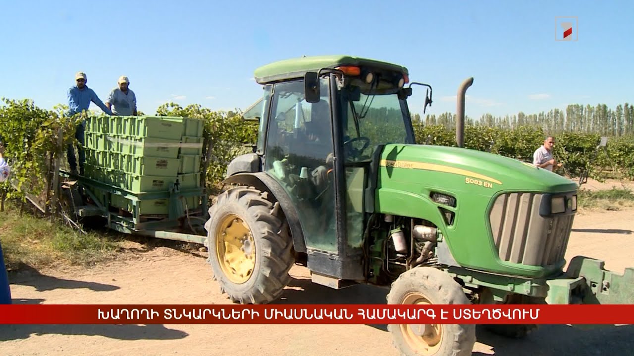 Խաղողի տնկարկների միասնական համակարգ է ստեղծվում