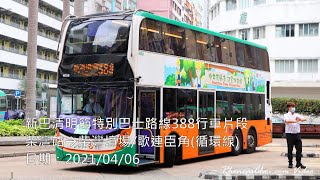新巴清明節特別巴士路線388行車片段 (柴灣站→柴灣墳場/歌連臣角(循環線))