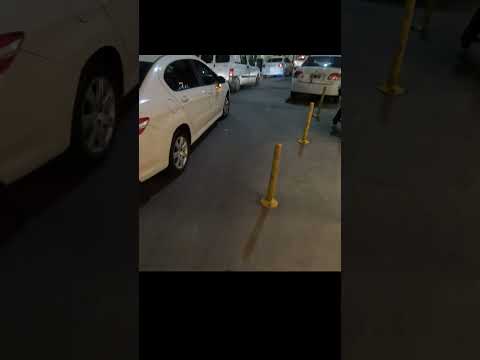 Un día cualquiera en las calles de Córdoba 💀