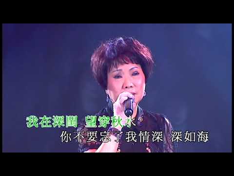 潘秀瓊丨情人的眼淚丨姚莉玫瑰傳奇演唱會