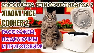 Умная рисоварка Xiaomi. Полный обзор и подключение. Что готовит и как готовит? фото